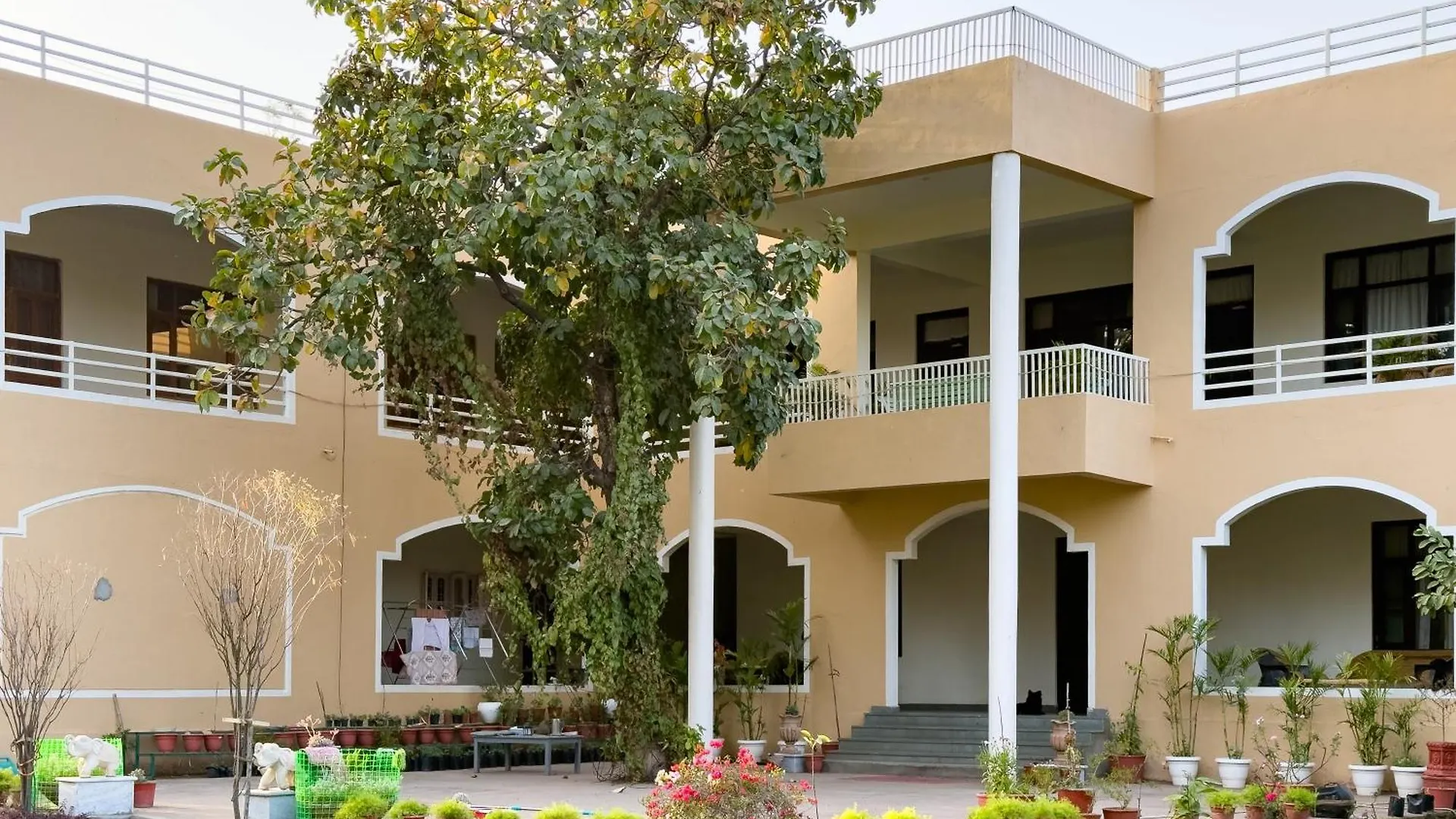The Pavilion Udaipur - A Luxury Pet Friendly Villa In ウダイプル