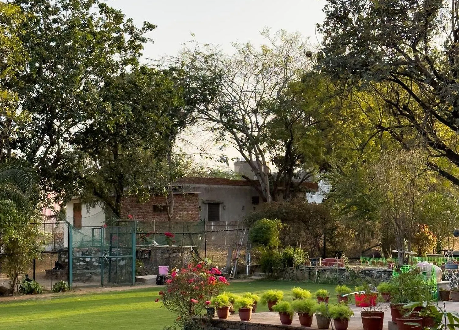 The Pavilion Udaipur - A Luxury Pet Friendly Villa In ウダイプル