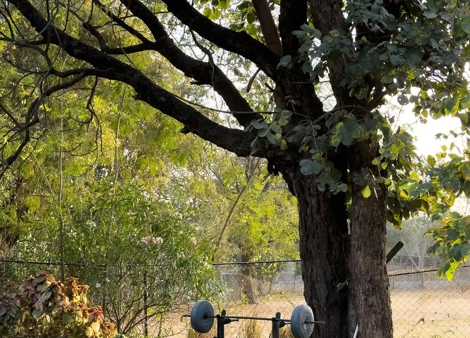 ホームステイ The Pavilion Udaipur - A Luxury Pet Friendly Villa In ウダイプル インド